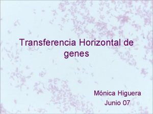 Transferencia Horizontal de genes Mnica Higuera Junio 07