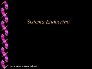 Sistema Endocrino m v z oscar oliveros belmont