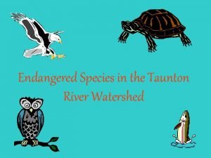 Endangered Species in the Taunton River Watershed Endangered