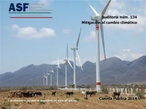 Auditora nm 134 Mitigacin al cambio climtico Los