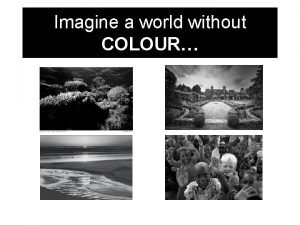 Life without colors
