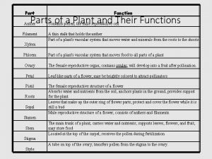 Part Function Parts of a Plant and Their