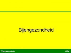 Nbv bijen