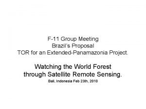 F11 Group Meeting Brazils Proposal TOR for an