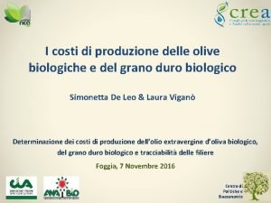 I costi di produzione delle olive biologiche e