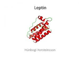 Leptin Hnbogi orsteinsson Leptin inngangur Hormn Framleisla Fituvefur