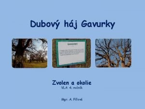 Dubov hj Gavurky Zvolen a okolie VLA 4