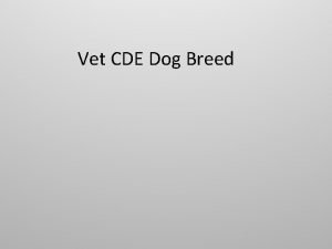 Dog breed 411