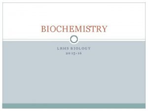 Biomolecules graphic organizer