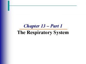 Chapter 13 the respiratory system figure 13-1