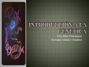 INTRODUCCIN A LA GENTICA Dra Mary Dominguez Biologia