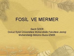 Fosilli bej mermer