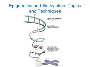 Epigenetics and Methylation Topics and Techniques Three main