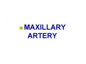 MAXILLARY ARTERY Internal maxillary artery Larger terminal branch