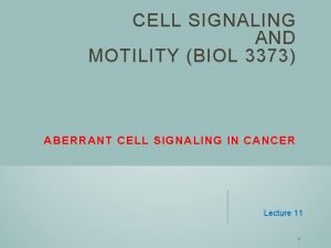 CELL SIGNALING AND MOTILITY BIOL 3373 ABERRANT CELL