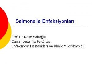 Salmonella Enfeksiyonlar Prof Dr Nee Saltolu Cerrahpaa Tp