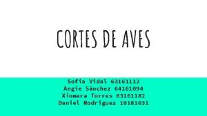 CORTES DE AVES Sofia Vidal 63161112 Angie Snchez