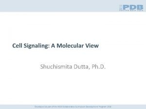 Cell Signaling A Molecular View Shuchismita Dutta Ph