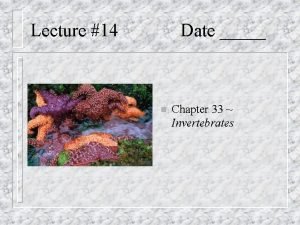 Lecture 14 Date n Chapter 33 Invertebrates Parazoa