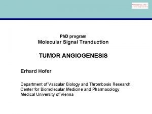 Sprouting and intussusceptive angiogenesis