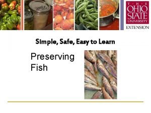 Simple Safe Easy to Learn Preserving Fish Todays