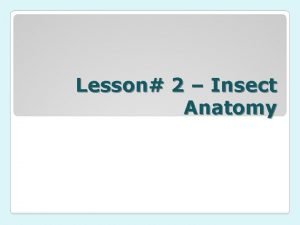 Lesson 2 Insect Anatomy Unit Entomology Ms Gutierrez