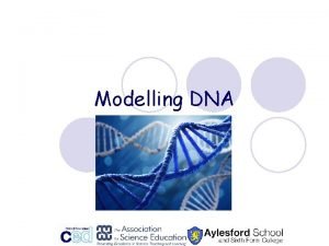 Modelling DNA Which is the odd one out