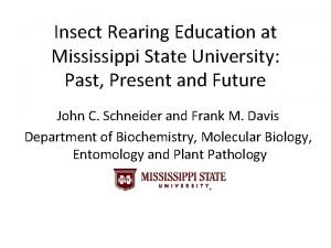 Ms state insect