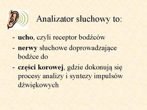 Analizator suchowy to ucho czyli receptor bodcw nerwy