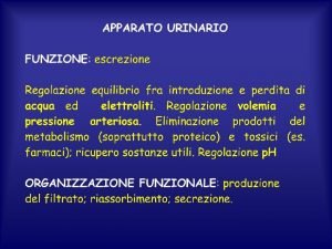 Forze di starling glomerulo Forze di starling glomerulo