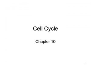 Cell Cycle Chapter 10 1 10 1 Cell