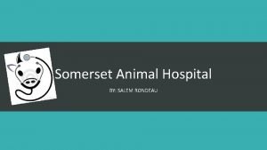 Somerset Animal Hospital BY SALEM RONDEAU The cause