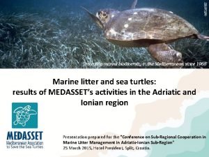 Marine litter and sea turtles results of MEDASSETs