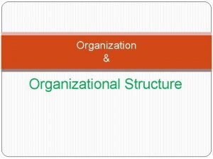 What is an organization