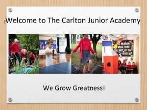 The carlton junior academy