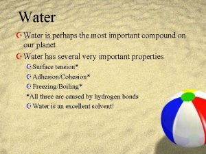 Water Z Water is perhaps the most important