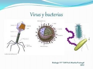 Estructura del virus