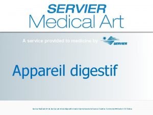 A service provided to medicine by Appareil digestif