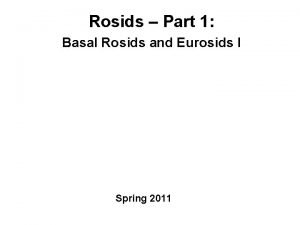 Rosids Part 1 Basal Rosids and Eurosids I