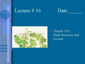 Chapter 35 plant structure growth and development