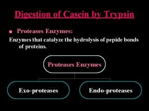 Casein and trypsin