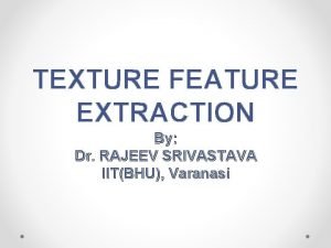 TEXTURE FEATURE EXTRACTION By Dr RAJEEV SRIVASTAVA IITBHU