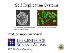 Self Replicating Systems IL 33 Radiolara Institut fur