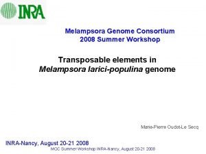 Melampsora Genome Consortium 2008 Summer Workshop Transposable elements