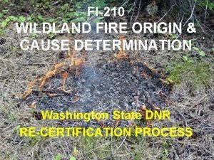 FI210 WILDLAND FIRE ORIGIN CAUSE DETERMINATION Washington State