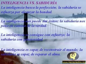 INTELIGENCIA VS SABIDURA La inteligencia busca la perfeccin