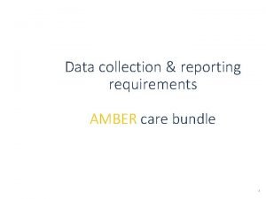 Amber care bundle