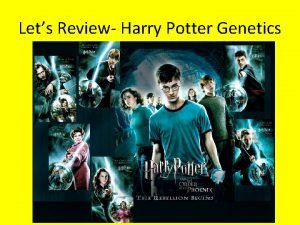 Lets Review Harry Potter Genetics Question 1 Harry