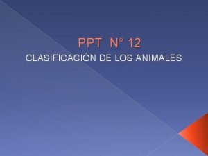 Clasificación de los animales ppt