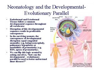 Neonatology and the Developmental Evolutionary Parallel Endodermal and